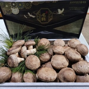 미사밸리,미사밸리 솔향고버섯 1.7kg